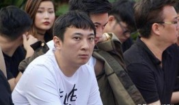 吃瓜娱乐王思聪是谁,王思聪的传奇人生