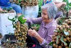 水果大叔爆料是真的吗视频,水果大叔爆料视频真实性揭秘